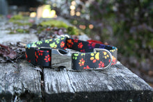Load image into Gallery viewer, Rainbow Paws Collar
