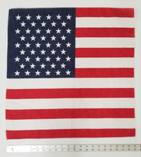 Load image into Gallery viewer, American Flag Bandana
