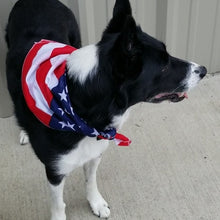 Load image into Gallery viewer, American Flag Bandana
